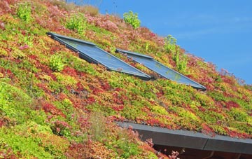 Old Chalford living roof systems